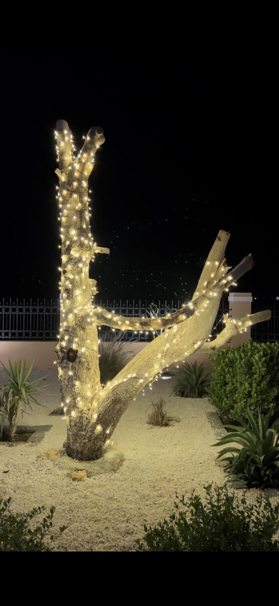 أستراحة أريـــان Villa Sur