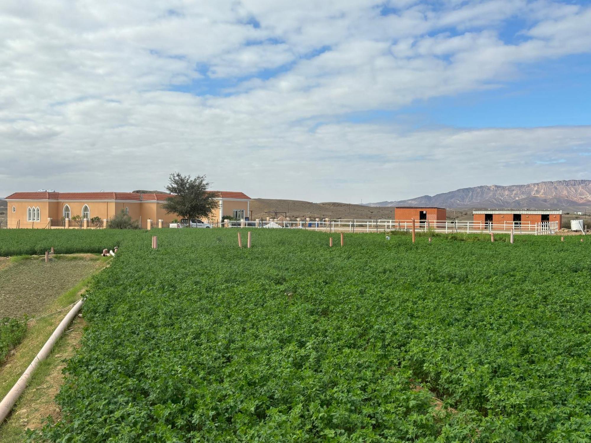 Villa أستراحة أريـــان